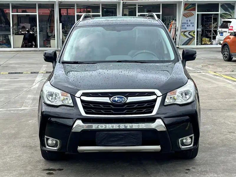 forester forester
