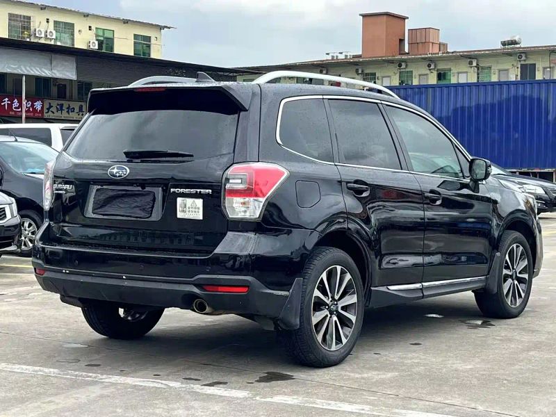 forester forester