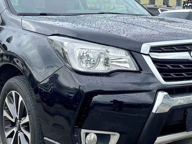 forester forester