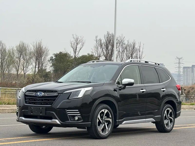 forester forester