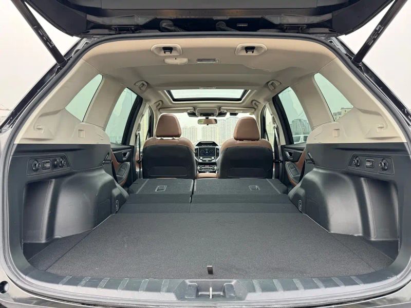 forester forester