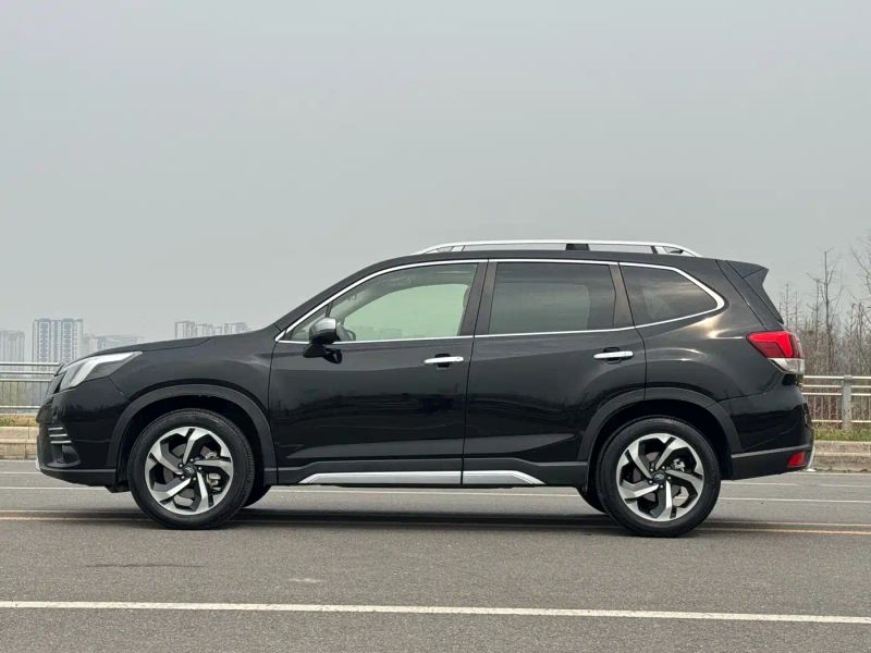 forester forester