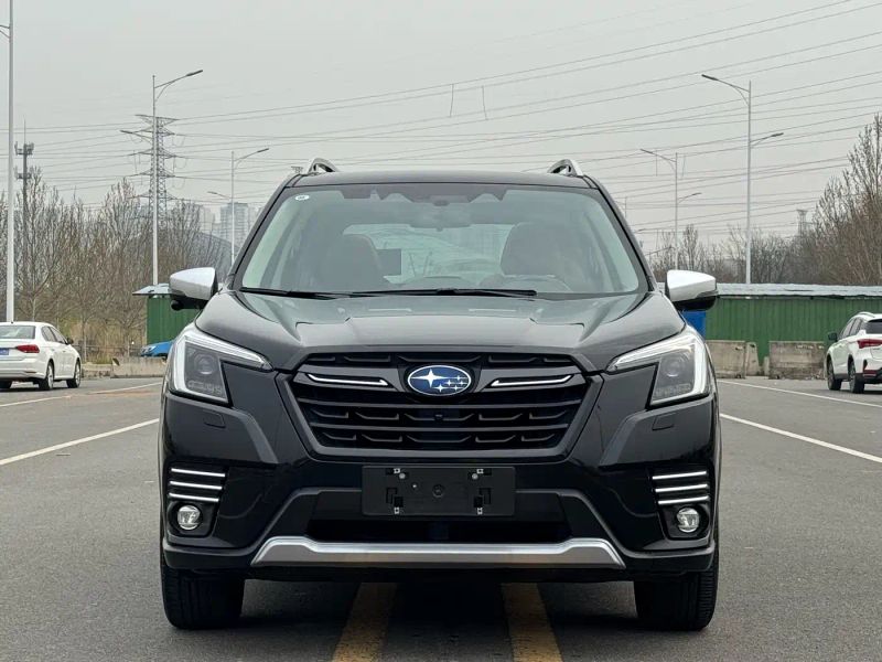 forester forester