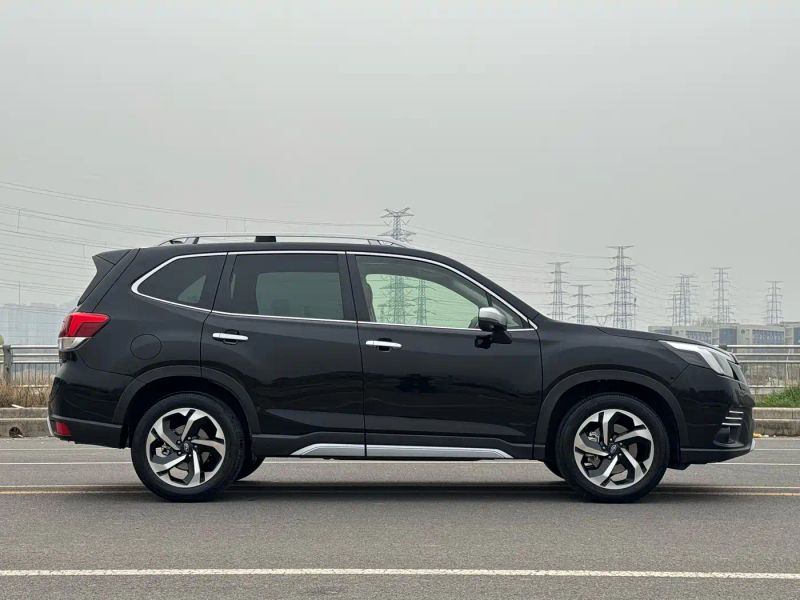 forester forester