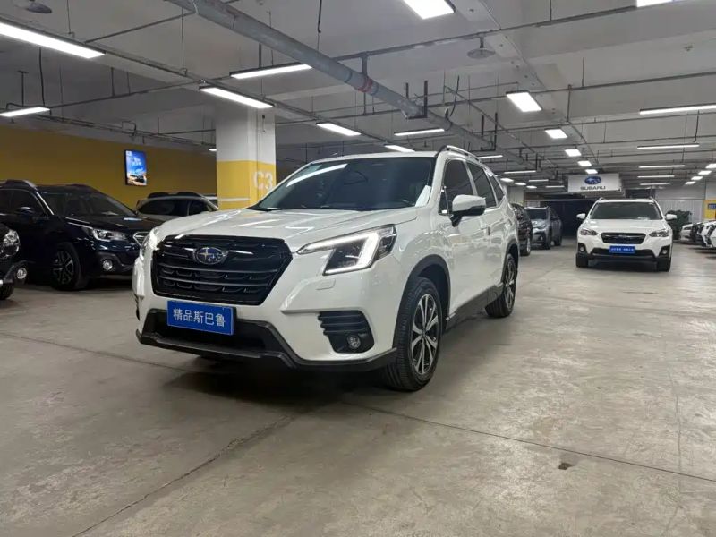 forester forester