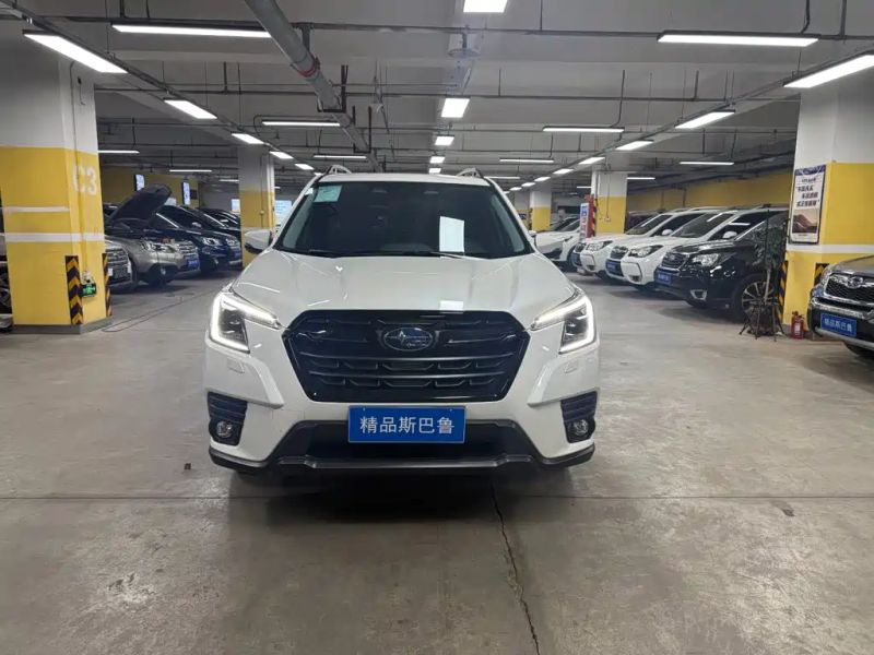 forester forester