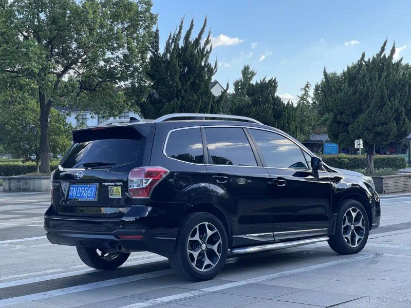 forester forester