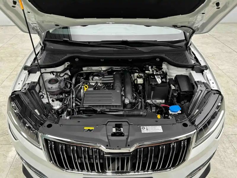 kemike kodiaq
