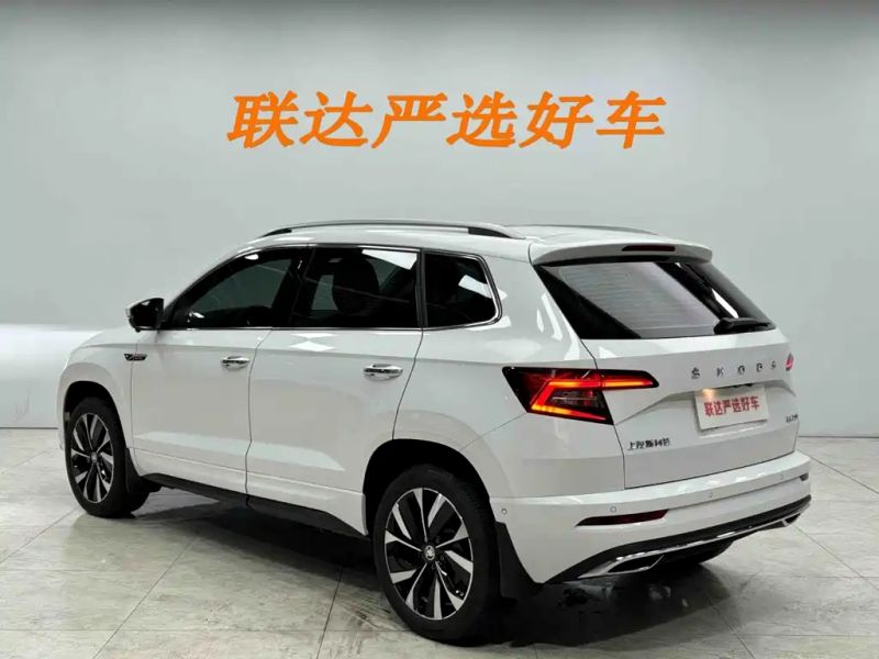 kemike kodiaq