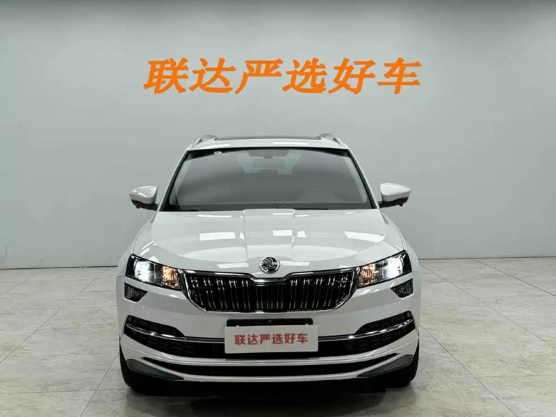kemike kodiaq