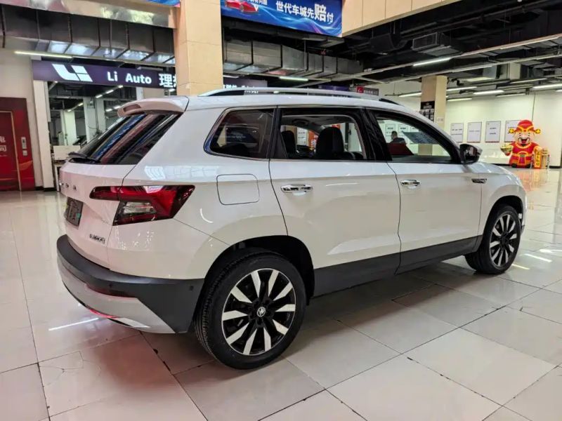kemike kodiaq