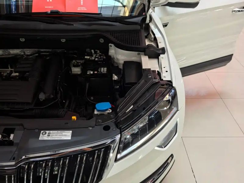 kemike kodiaq