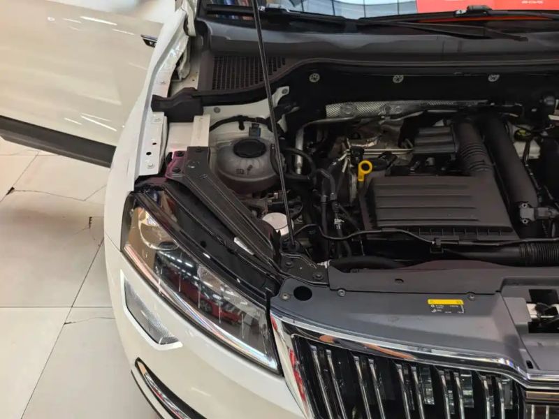 kemike kodiaq