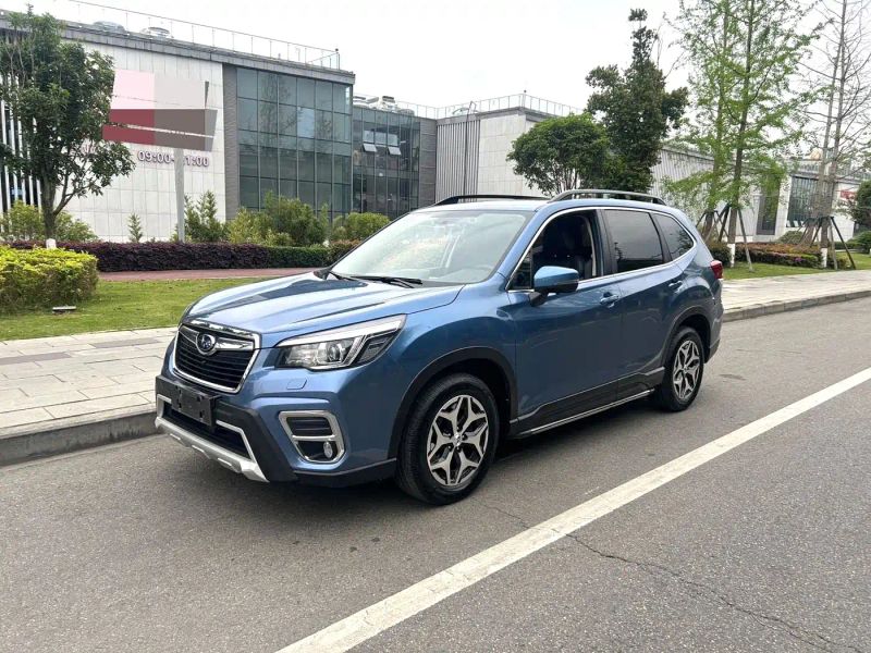 forester forester