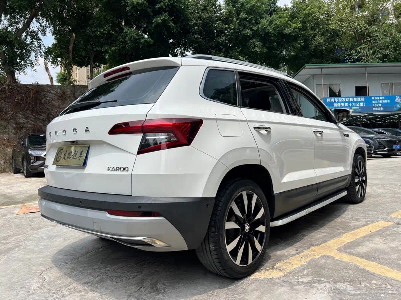kemike kodiaq