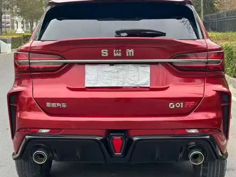 swm g01
