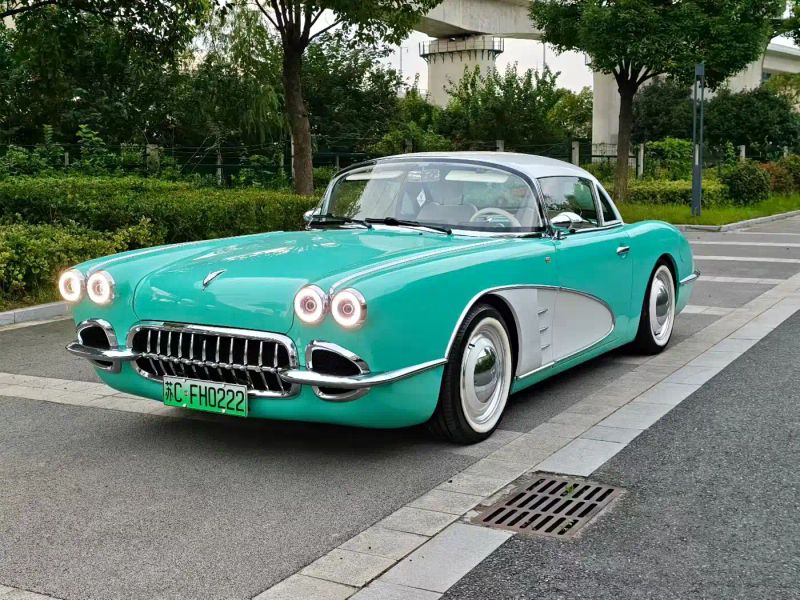 ss dolphin
