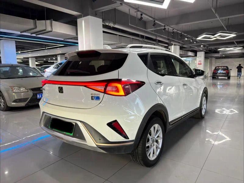 huaxianzi e20x