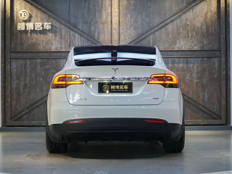 Tesla model-x