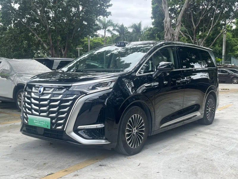 Denza d9