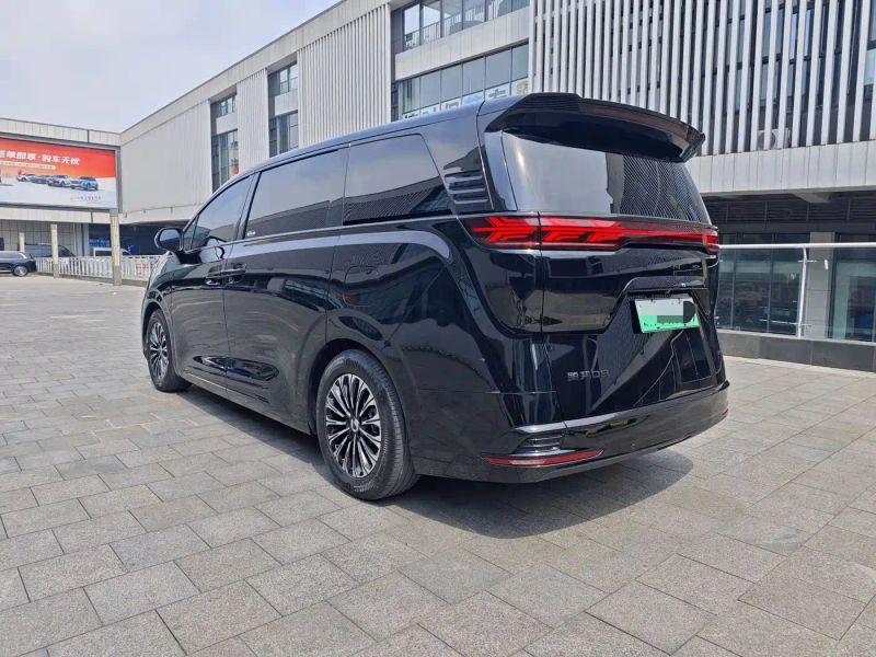 Denza d9