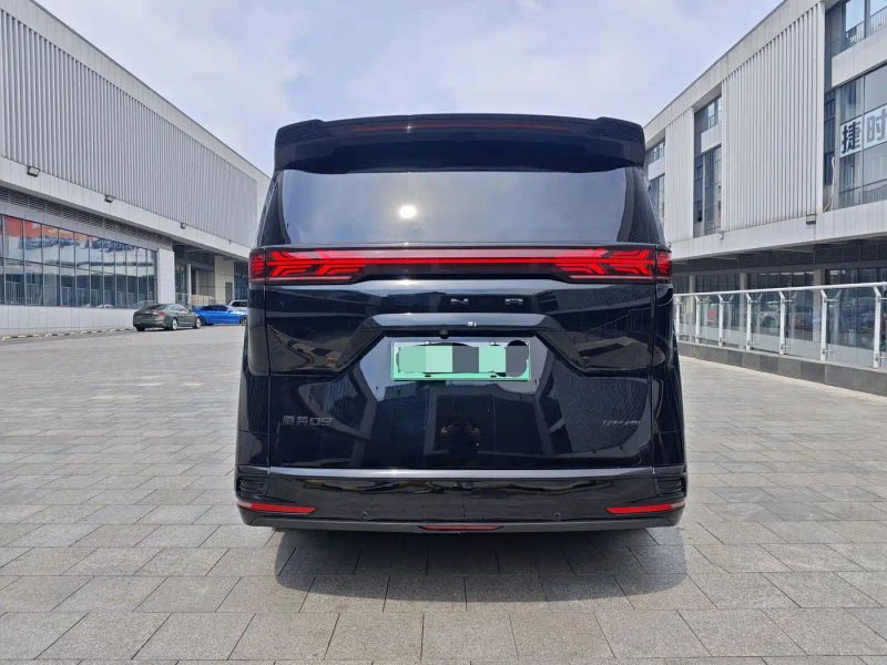 Denza d9