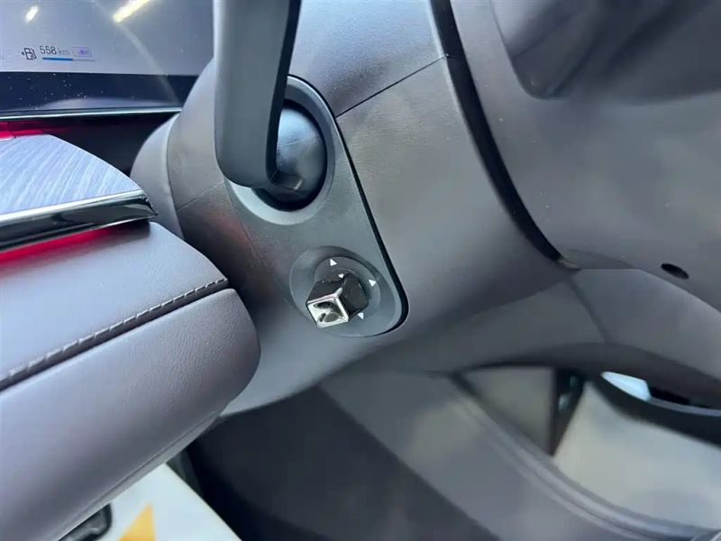 Denza z9
