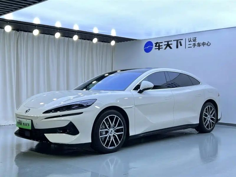 Denza z9