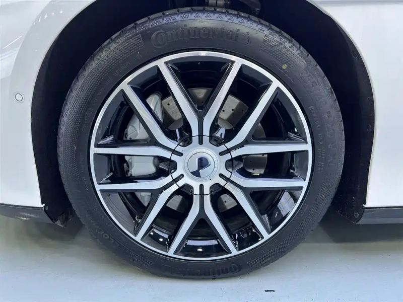 Denza z9