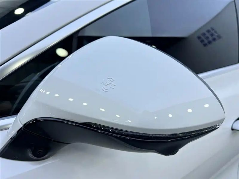 Denza z9