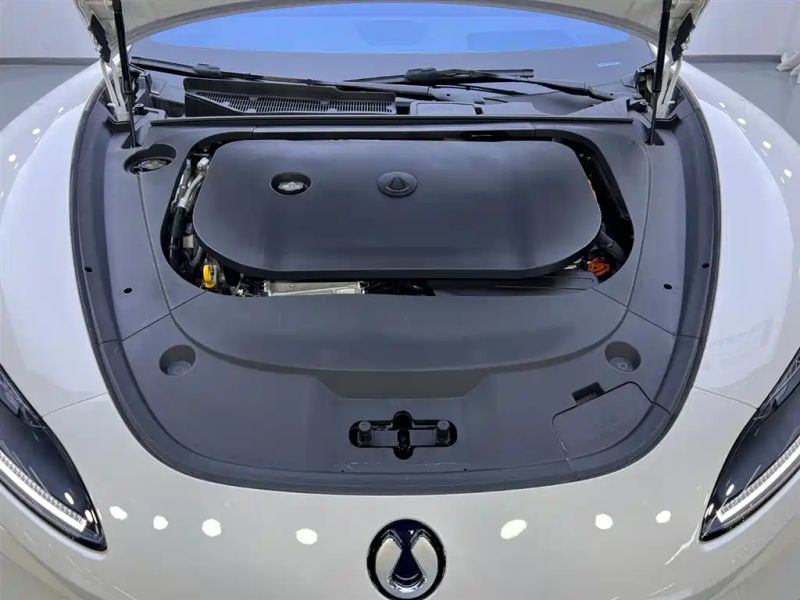 Denza z9