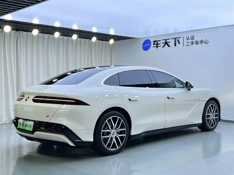 Denza z9