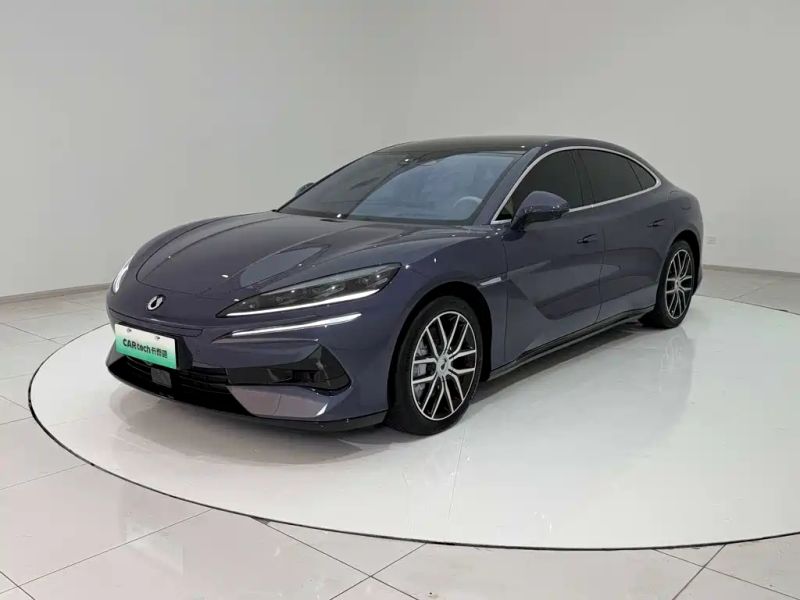 Denza z9