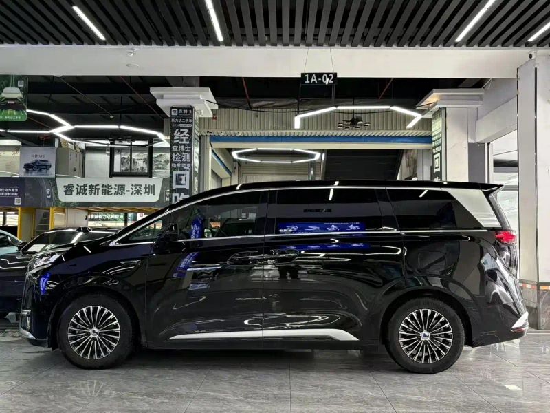 Denza d9
