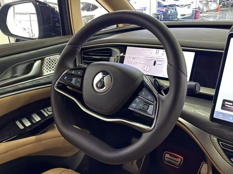 Denza d9