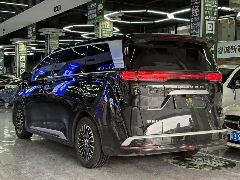 Denza d9
