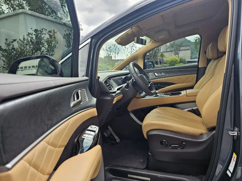 Denza d9