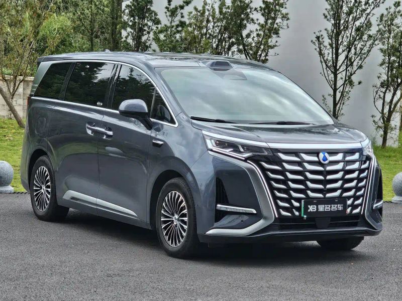 Denza d9