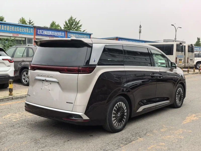 Denza d9