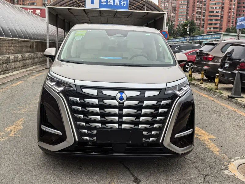 Denza d9