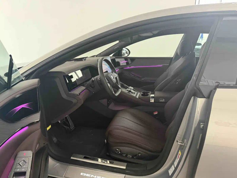 Denza z9gt