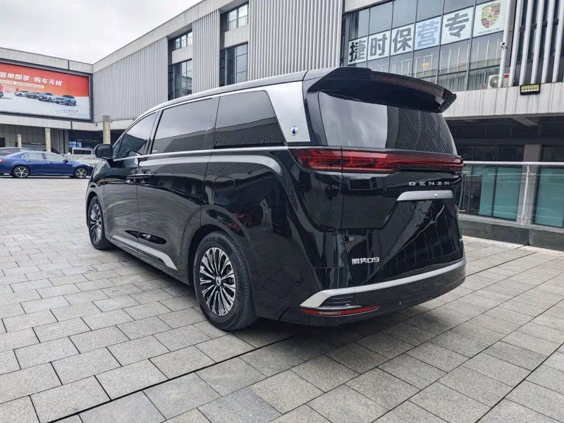 Denza d9