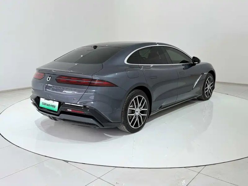 Denza z9
