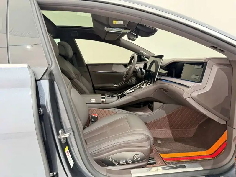 Denza z9