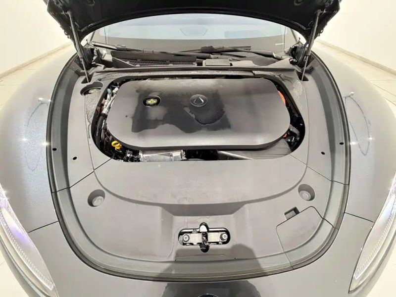 Denza z9