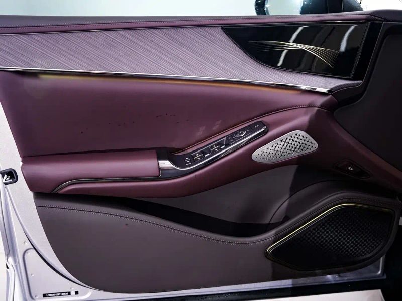 Denza z9gt