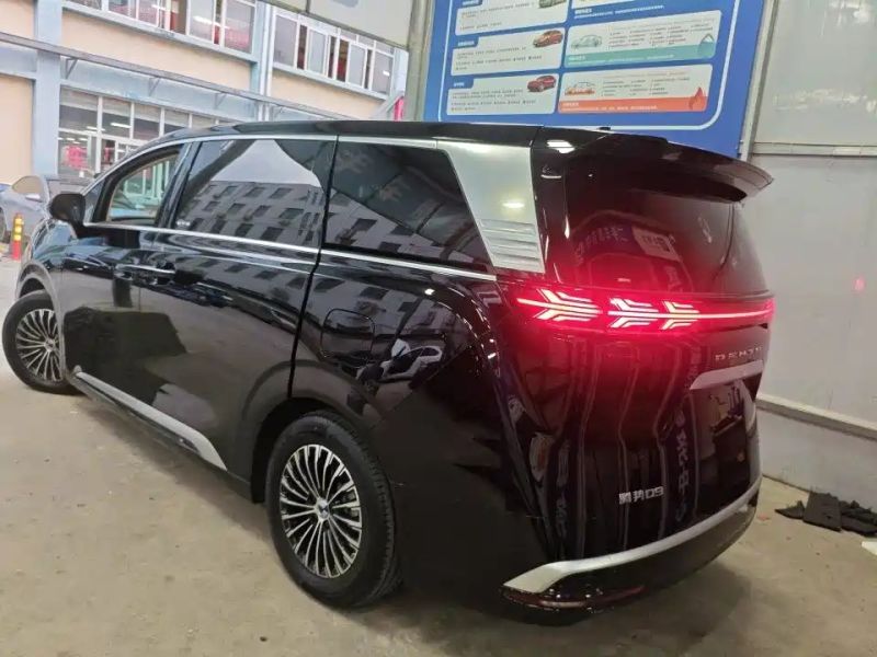 Denza d9