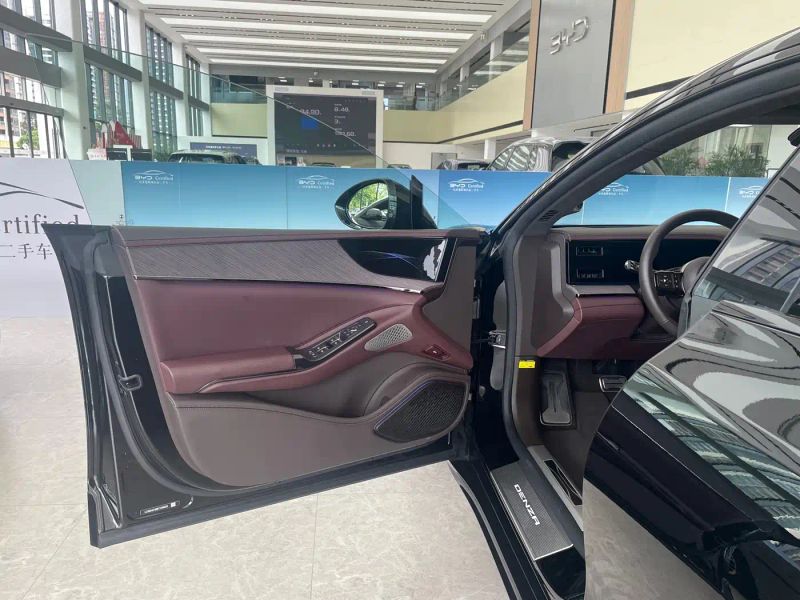 Denza z9gt