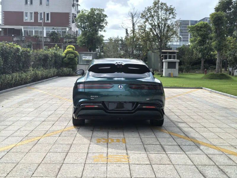 Denza z9