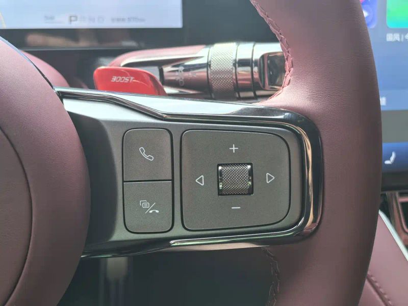 Denza z9